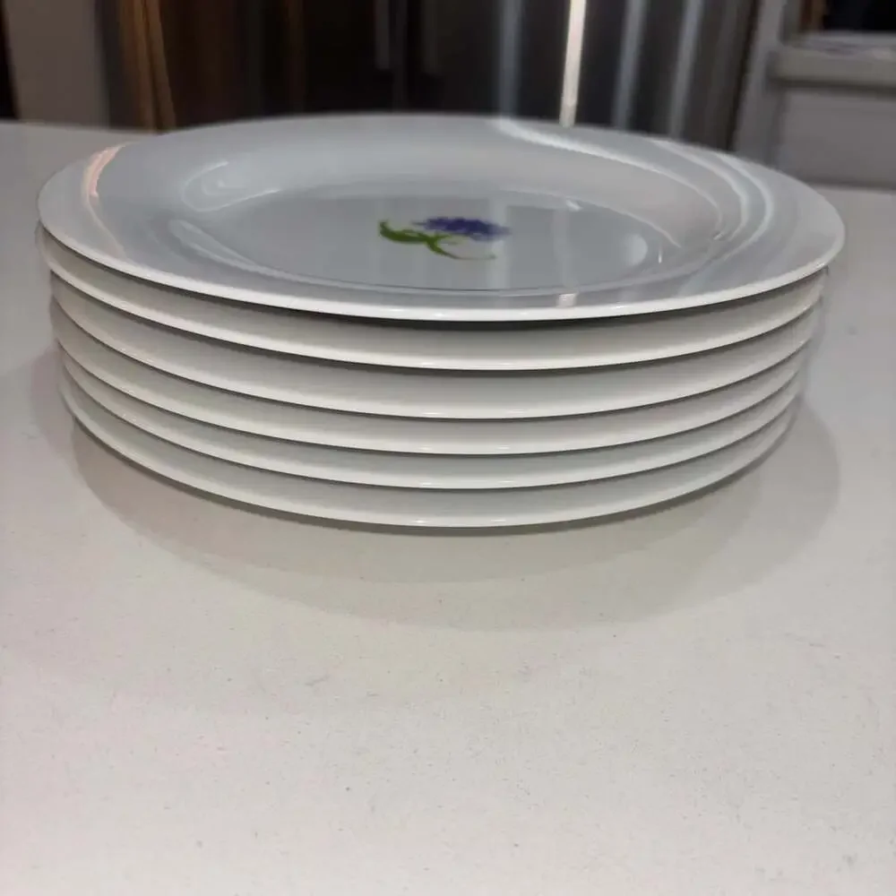 Pottery Barn Bloom Set of 6 Mixed Floral Salad Plates 8.5”